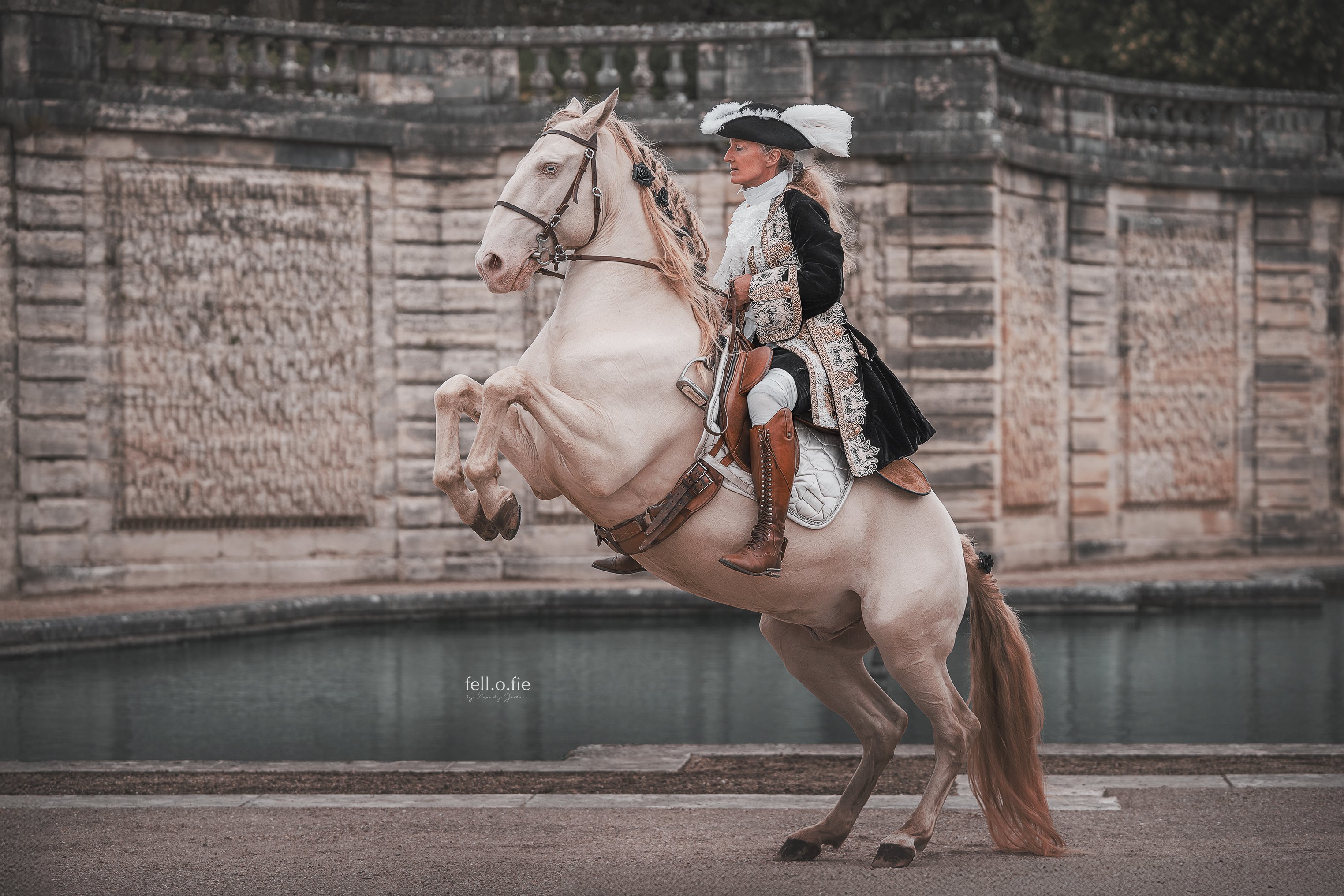 Barockreiter Verband in Versailles