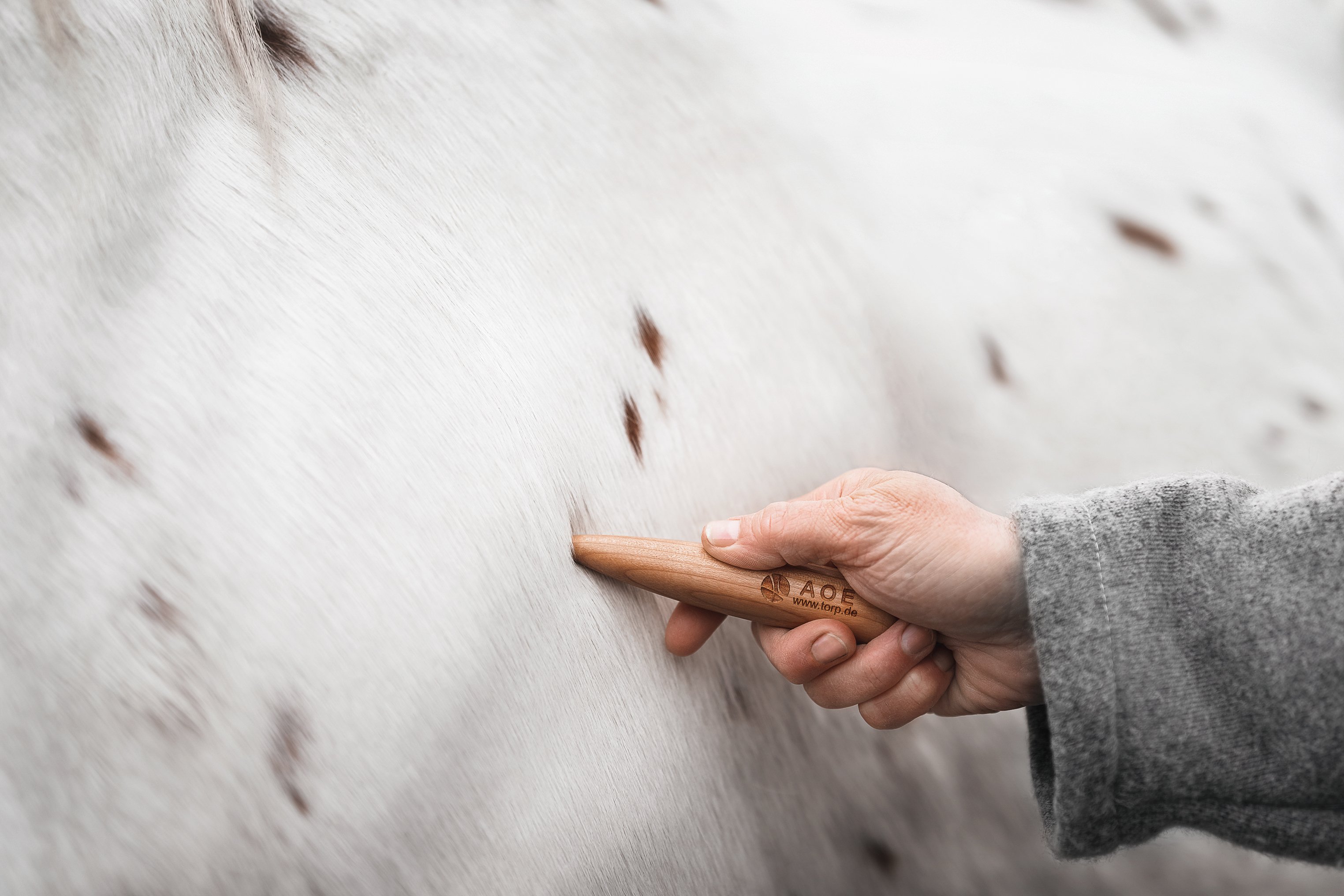 Ellen Kietz - Körper im Gefühl