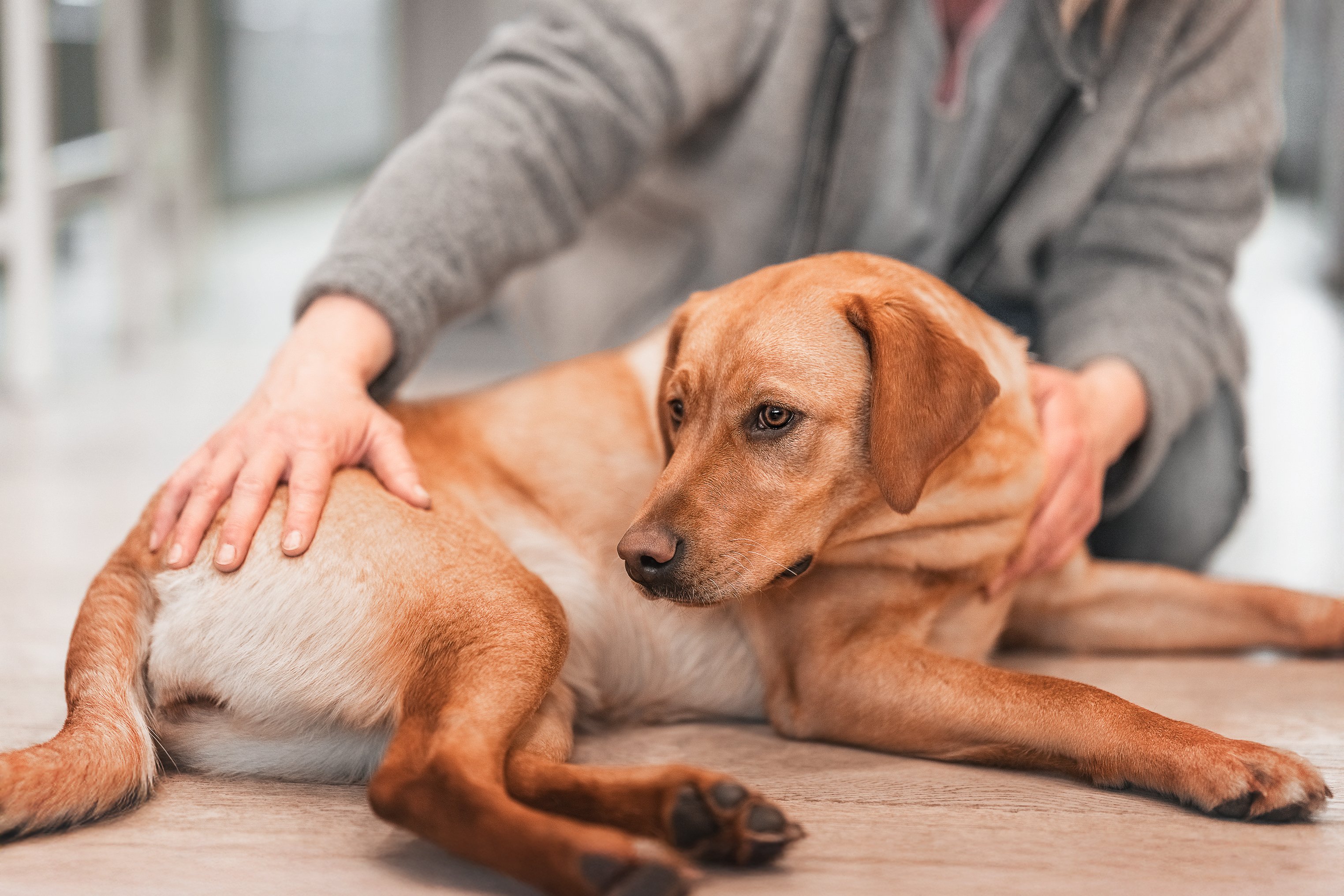 Ellen Kietz - Körper im Gefühl
