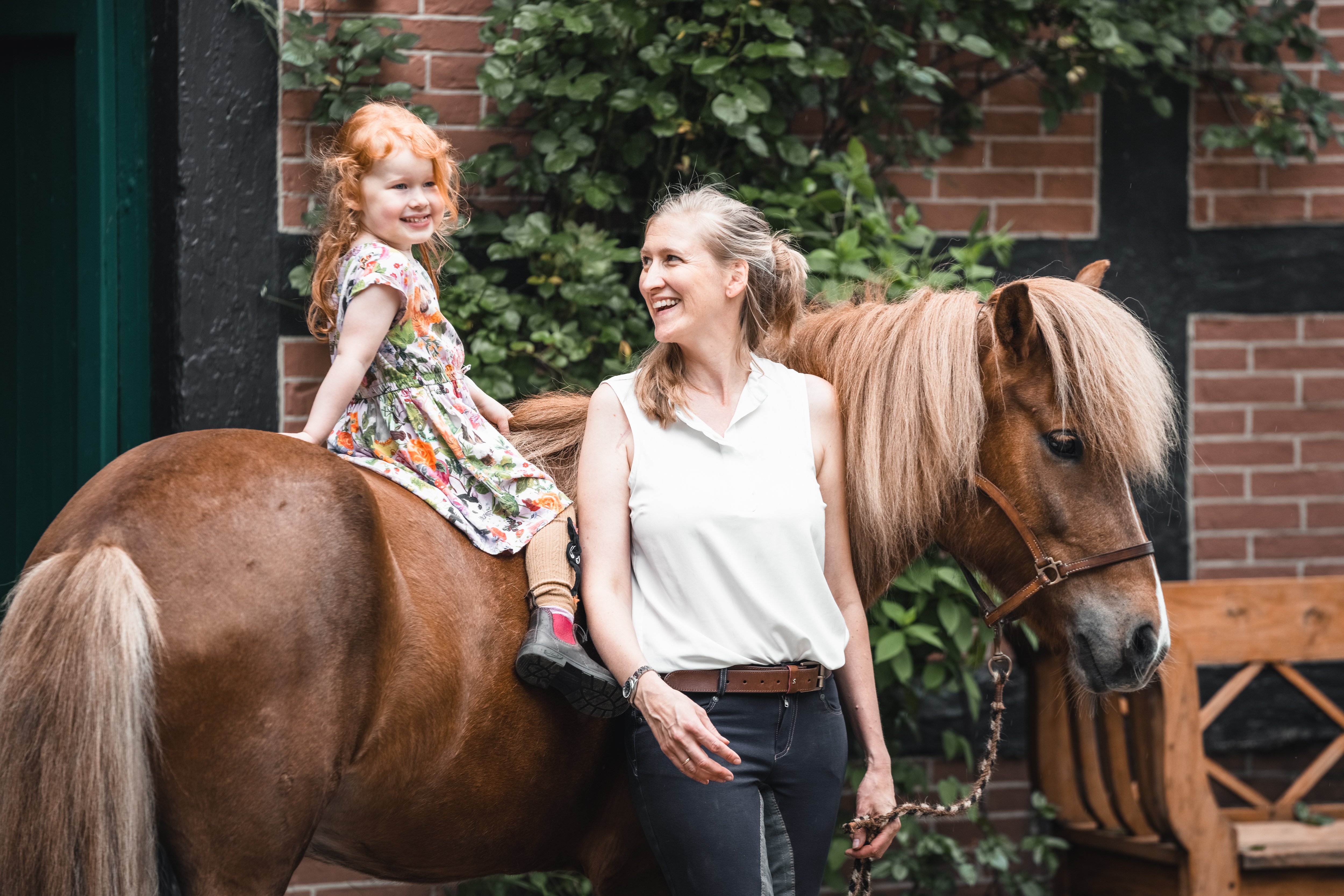 Müller´s Hoff Islandpferde